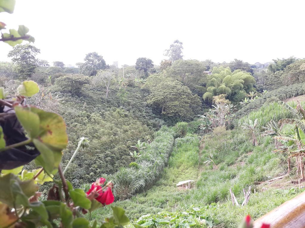 فيلا Calarcáفي Finca El Diamante المظهر الخارجي الصورة