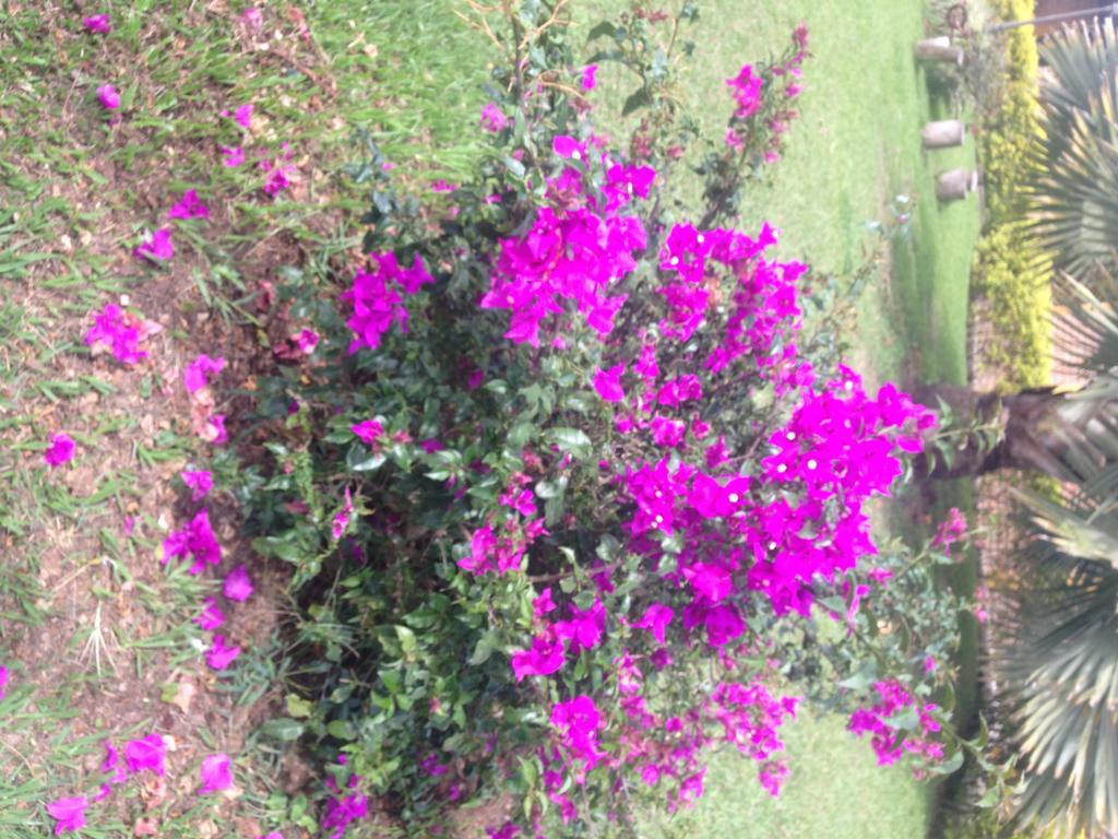 فيلا Calarcáفي Finca El Diamante المظهر الخارجي الصورة