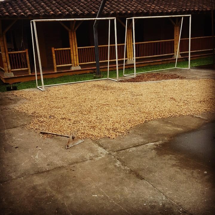 فيلا Calarcáفي Finca El Diamante المظهر الخارجي الصورة