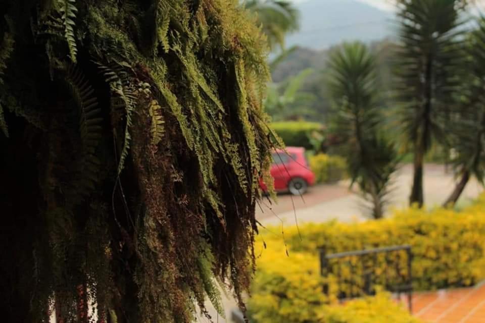 فيلا Calarcáفي Finca El Diamante المظهر الخارجي الصورة